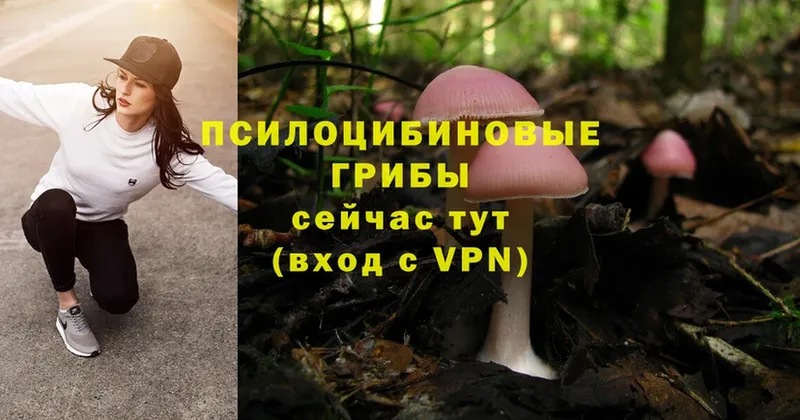 Галлюциногенные грибы Magic Shrooms  Малая Вишера 